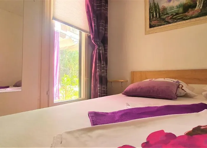 House Дом отдыха Стариград-Пакленица