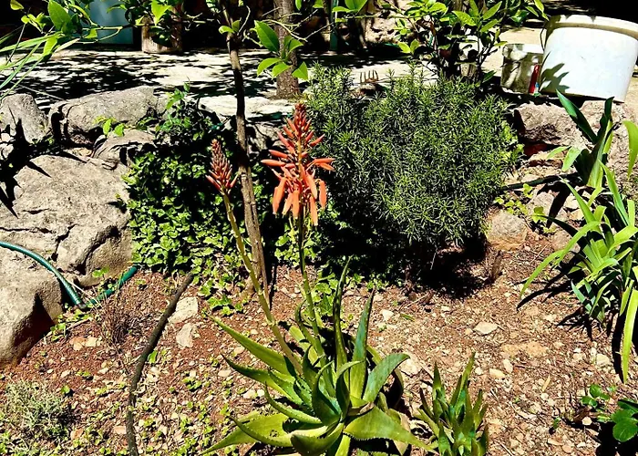 House Стариград-Пакленица