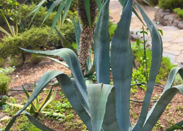 House * Стариград-Пакленица