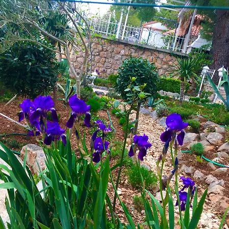 House Starigrad Paklenica