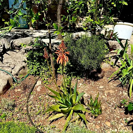 House Starigrad Paklenica