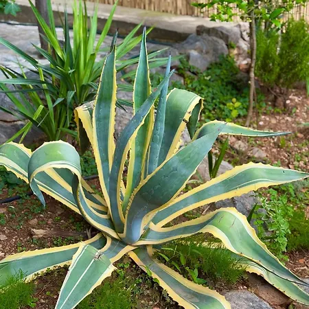 House Сasa de vacaciones *