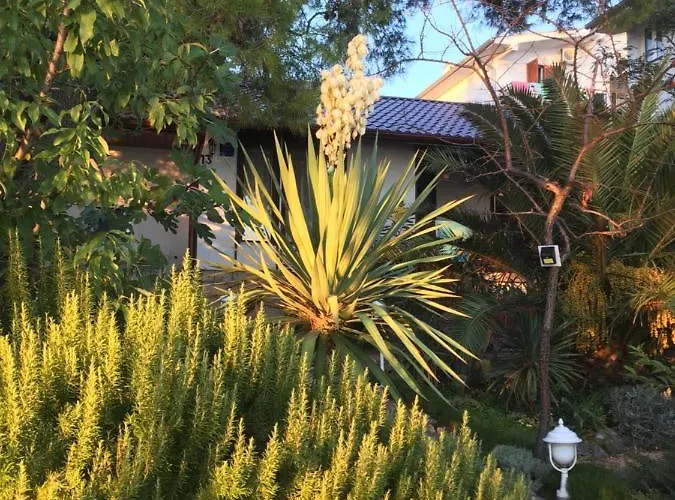 House * Starigrad Paklenica