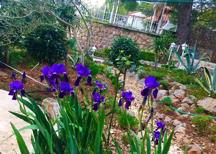 House Starigrad Paklenica